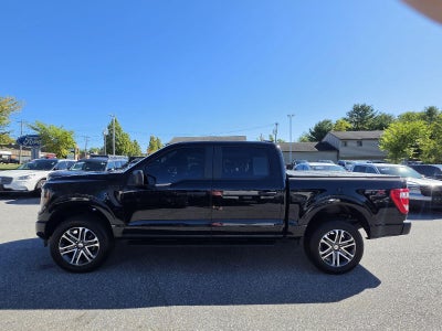 2023 Ford F-150 Stx XL