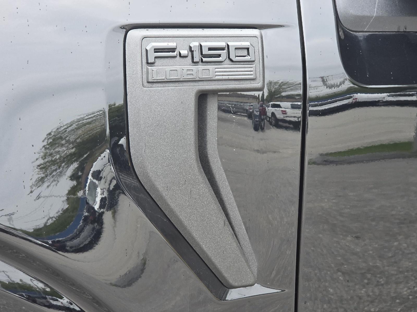 2026 Ford F-150 STX LOBO 5.0