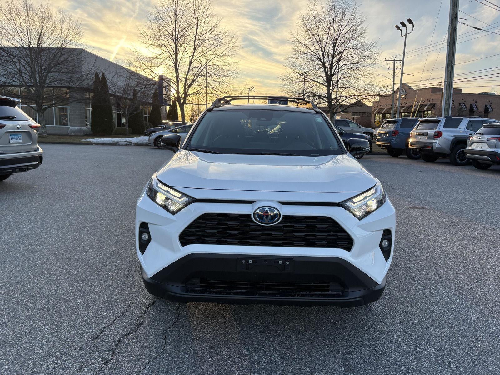 2024 Toyota RAV4 Hybrid Woodland