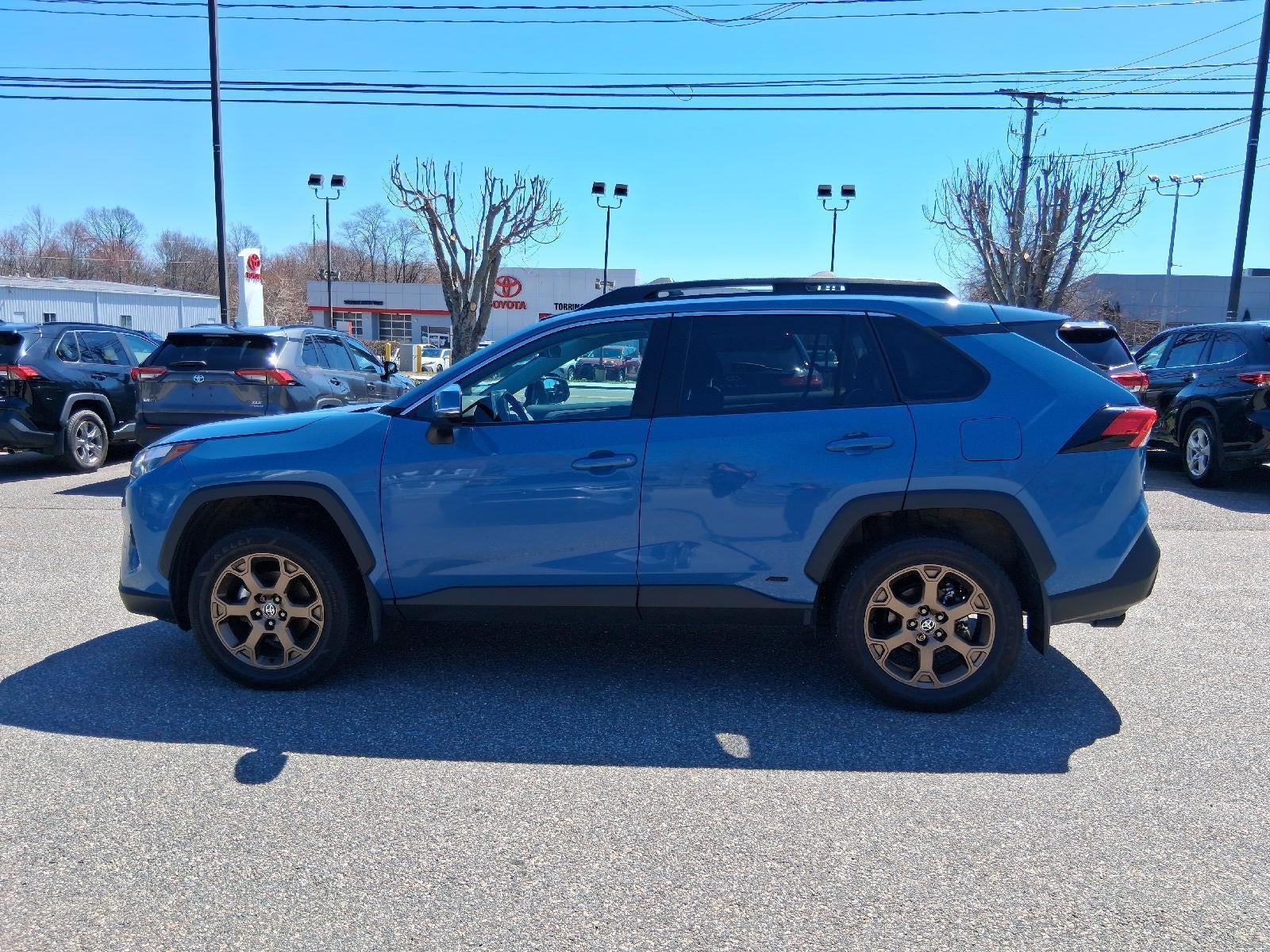 2023 Toyota RAV4 Hybrid Woodland